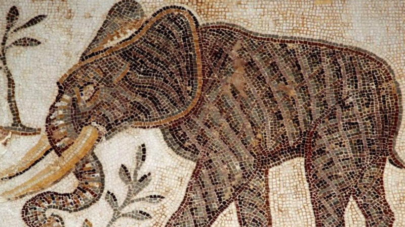Kampelefant afbildet i mosaik Kampelefant afbildet i mosaik