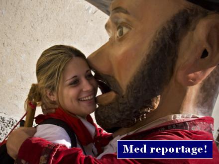 Navarra er kendt for andet end vin!