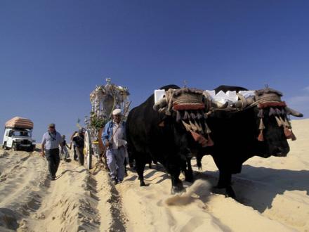 Kommer fra hele Spanien - til fods, med oksekærrer, traktorer og til hest