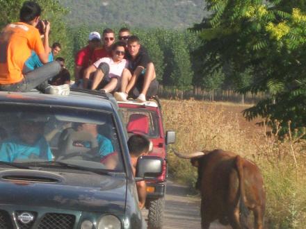 En helt speciel oplevelse i Castilla La Mancha