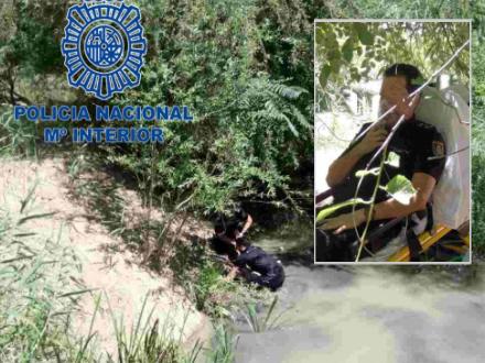 FOTO: Kollage - Policía Nacional