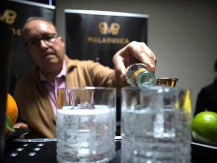 Ny spansk premieret gin