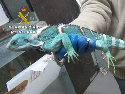 Foto: Guardia Civil