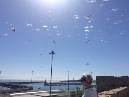 Foto: Kathrine Hesner